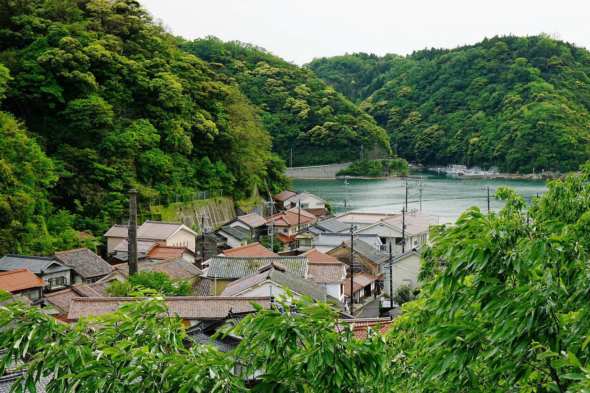 山あいに広がる温泉津の町並みと日本海に面した港